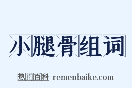 小腿骨组词是什么意思的图片